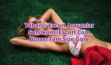 Şehitkamil Escortlar