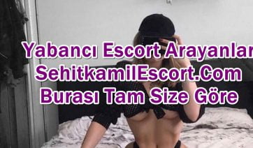 Şehitkamil Evlere Gelen Escort