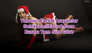 Arabada Görüşen Şehitkamil Escort