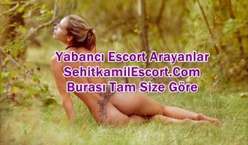 Şehitkamil Escort İle Oral Seks