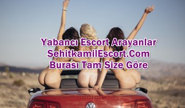 Şehitkamil Her Otele Gelen Escort