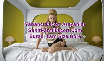 Şehitkamil Anal Yapan Escort