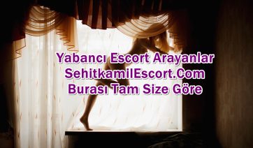 Şehitkamil Escort Fiyatları