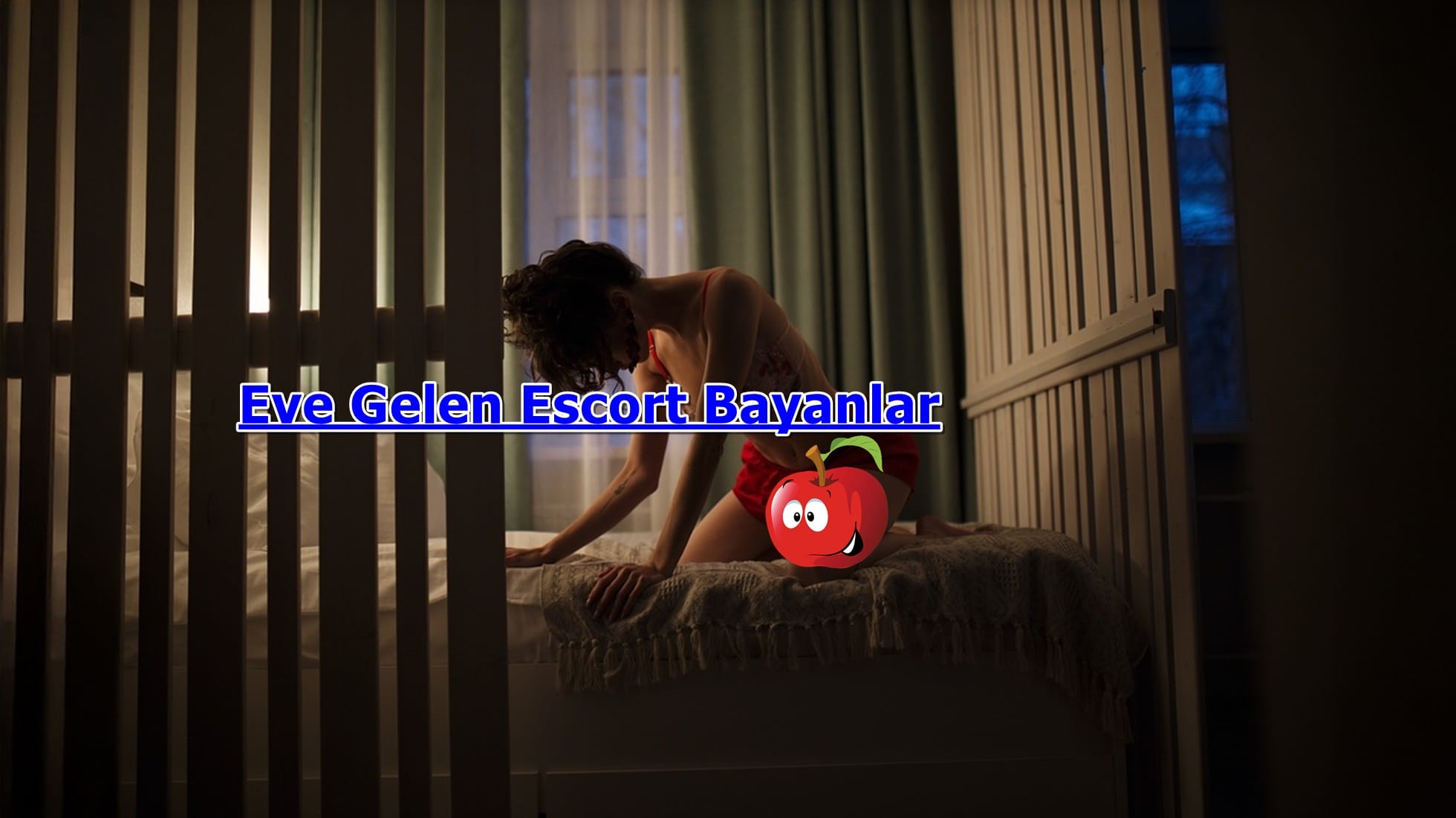 Şehitkamil Travesti Escort Zena